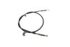 ASHUKI 1179-8007 Cable, parking brake